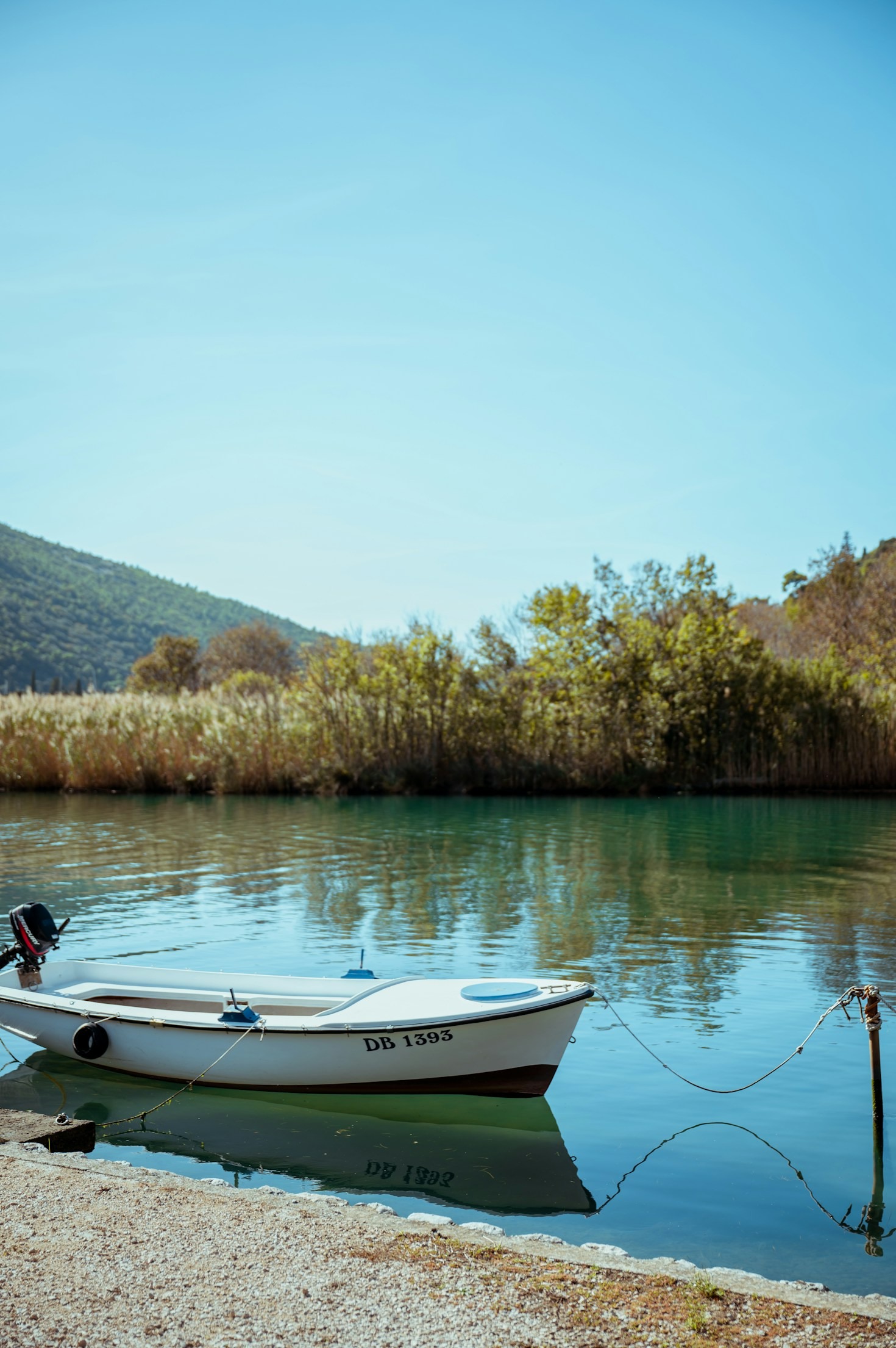 Boost Your Catch Rate With Technology